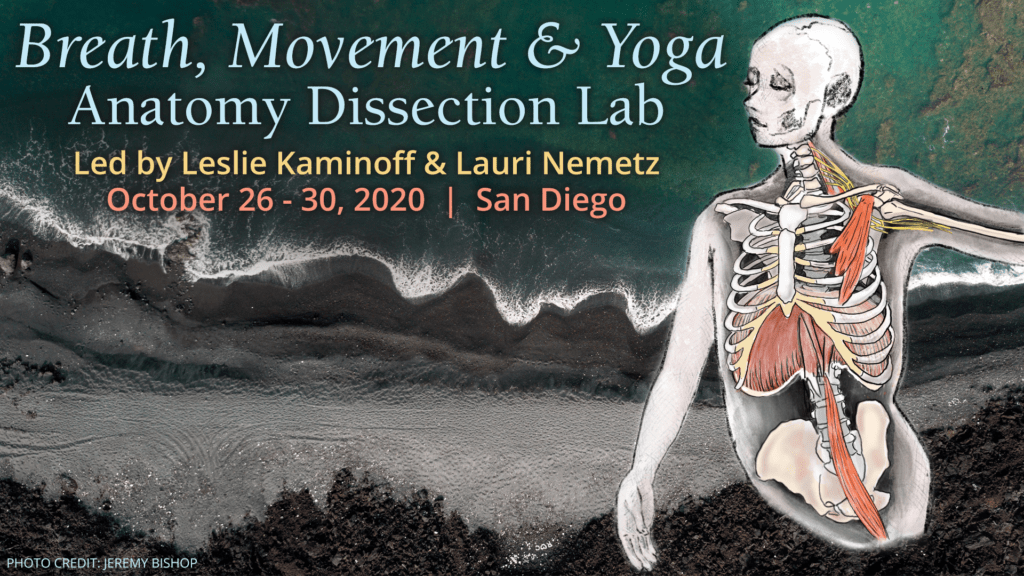 Breath, Movement and Yoga Anatomy Dissection Lab